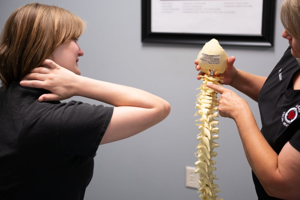 Chiropractic Examination Chiropractic Examination